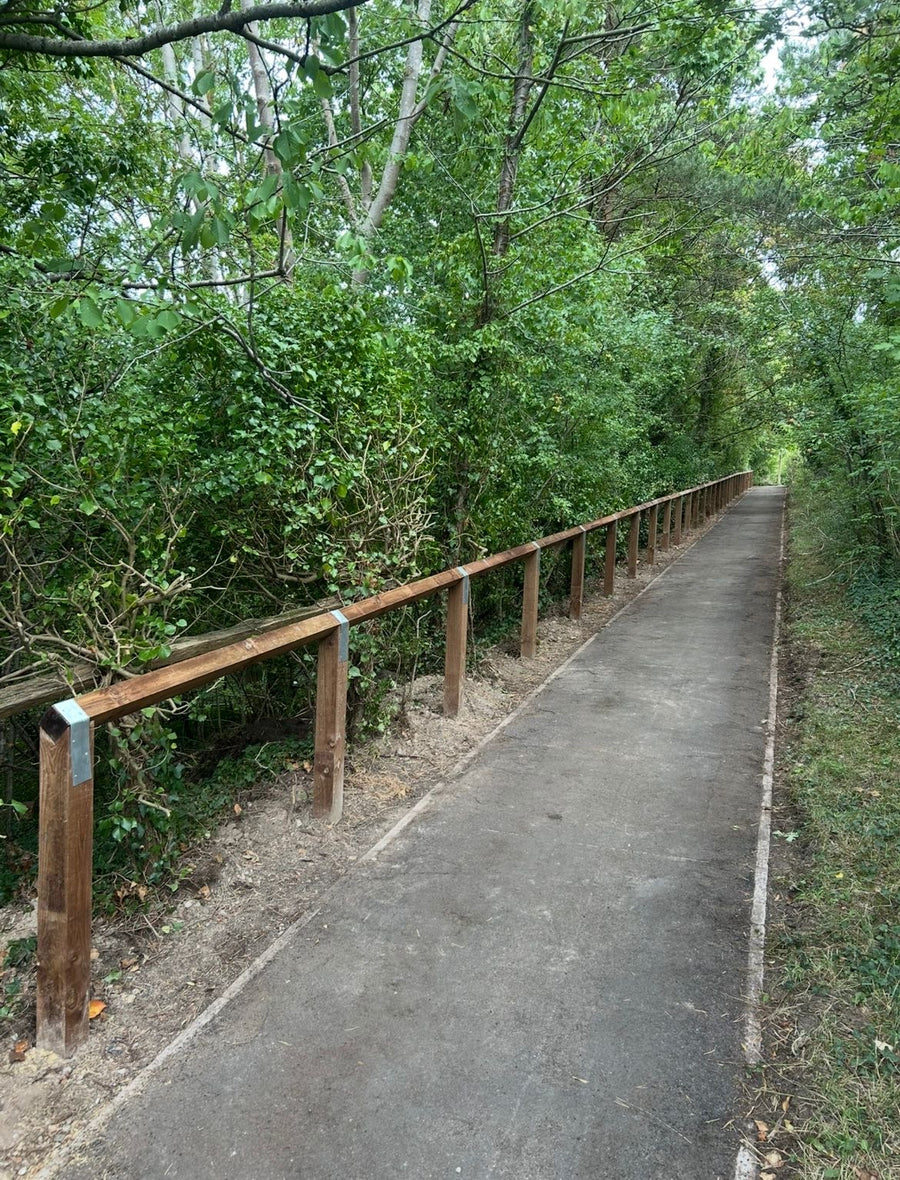 Public Landscaping & Pathways